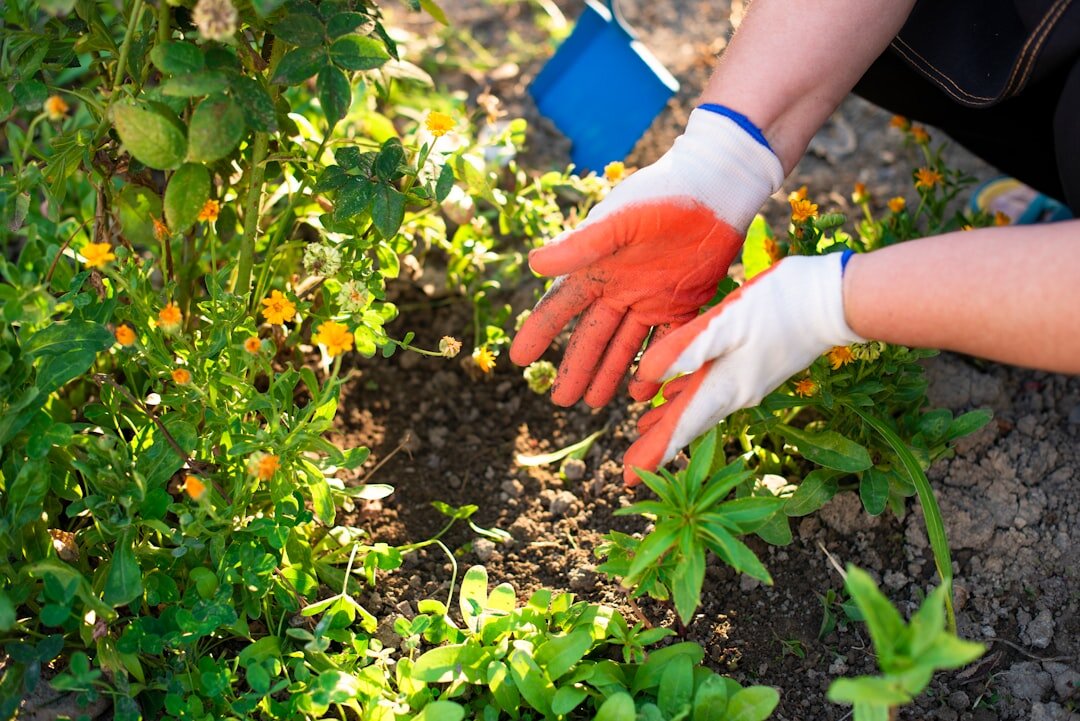 hands holding vegetables in garden